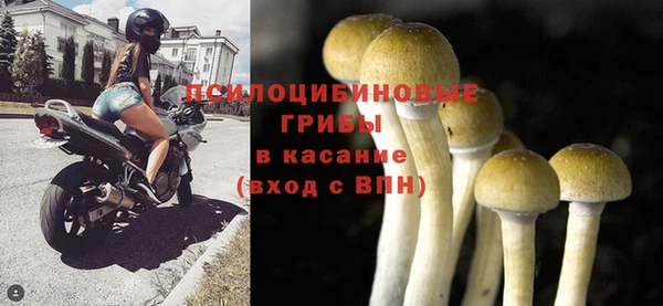 соль ск Беломорск